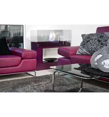 Infire - SPECTRUM bio fireplace