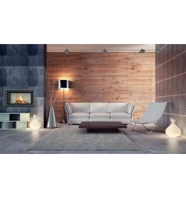 BeF - fireplace insert with a water jacket Aquatic WH V 100