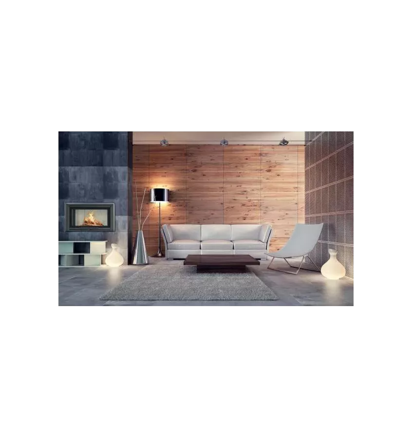 BeF - fireplace insert with a water jacket Aquatic WH V 100