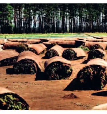 Icopal - mata wegetacyjna ekstensywna na dachy płaskie Icomat Green 317