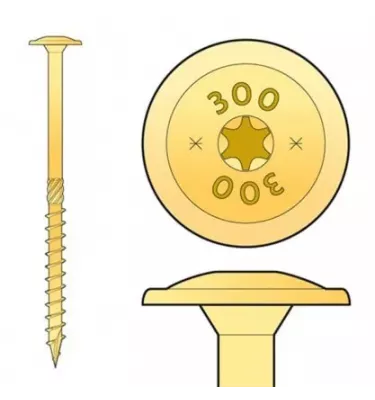 Domax - CT screw with a washer head