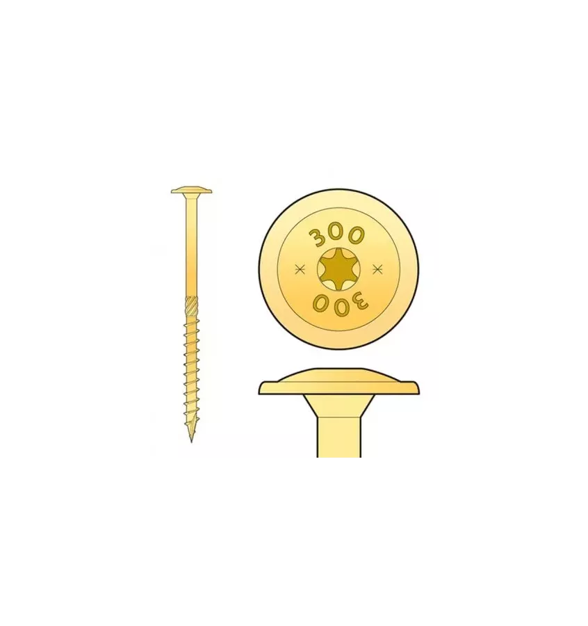 Domax - CT screw with a washer head