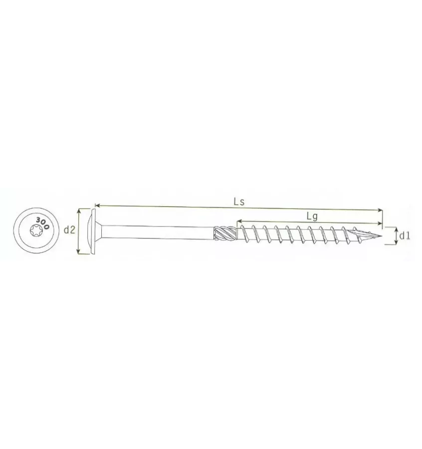 Domax - CT screw with a washer head
