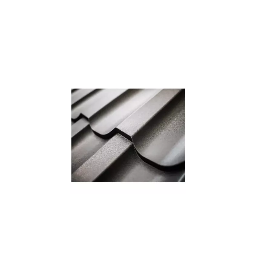 Pruszyński - the Ren panel roof tile