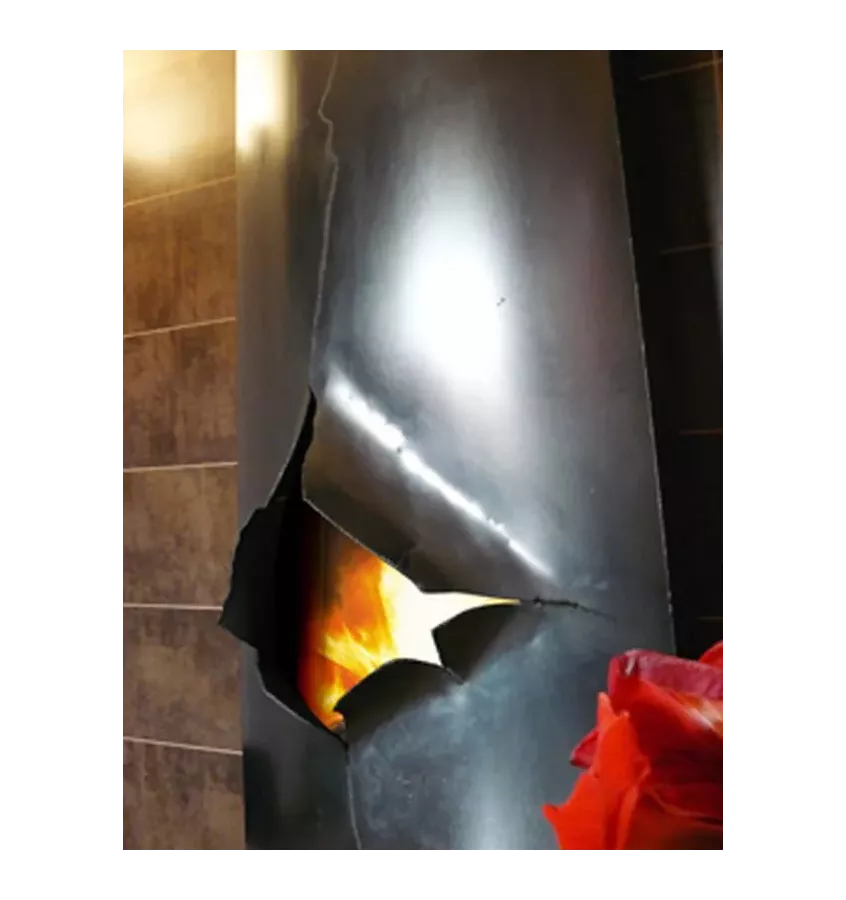 Focus - kominek na drewno MAGNIFOCUS Eclate