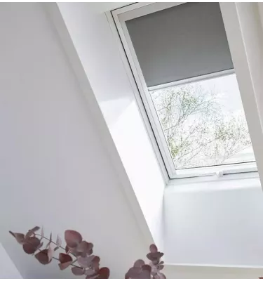 Roto - roleta dzienna manualna Exclusiv ZRE M