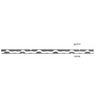 Pruszyński - puolisuunnikkaan muotoinen levy - tiivisteet